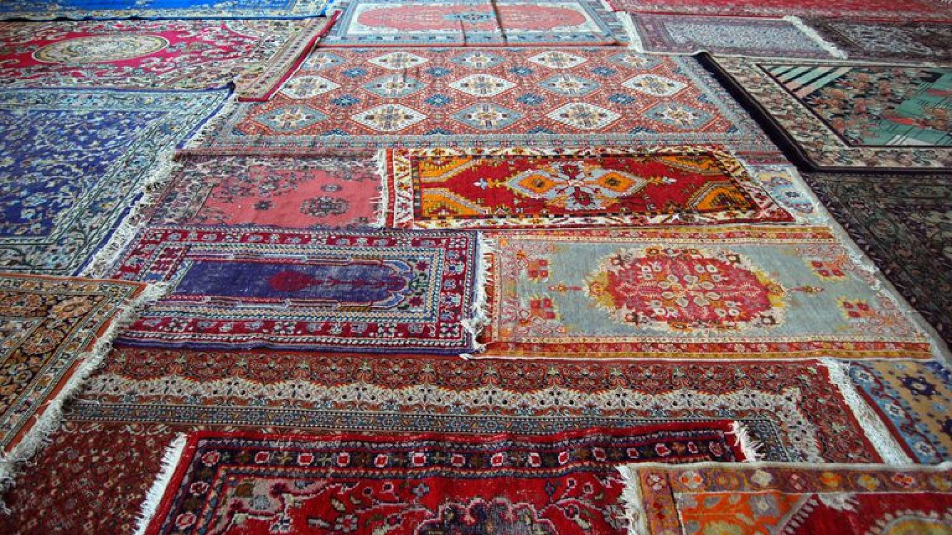 146423215-56a536b15f9b58b7d0db89e8