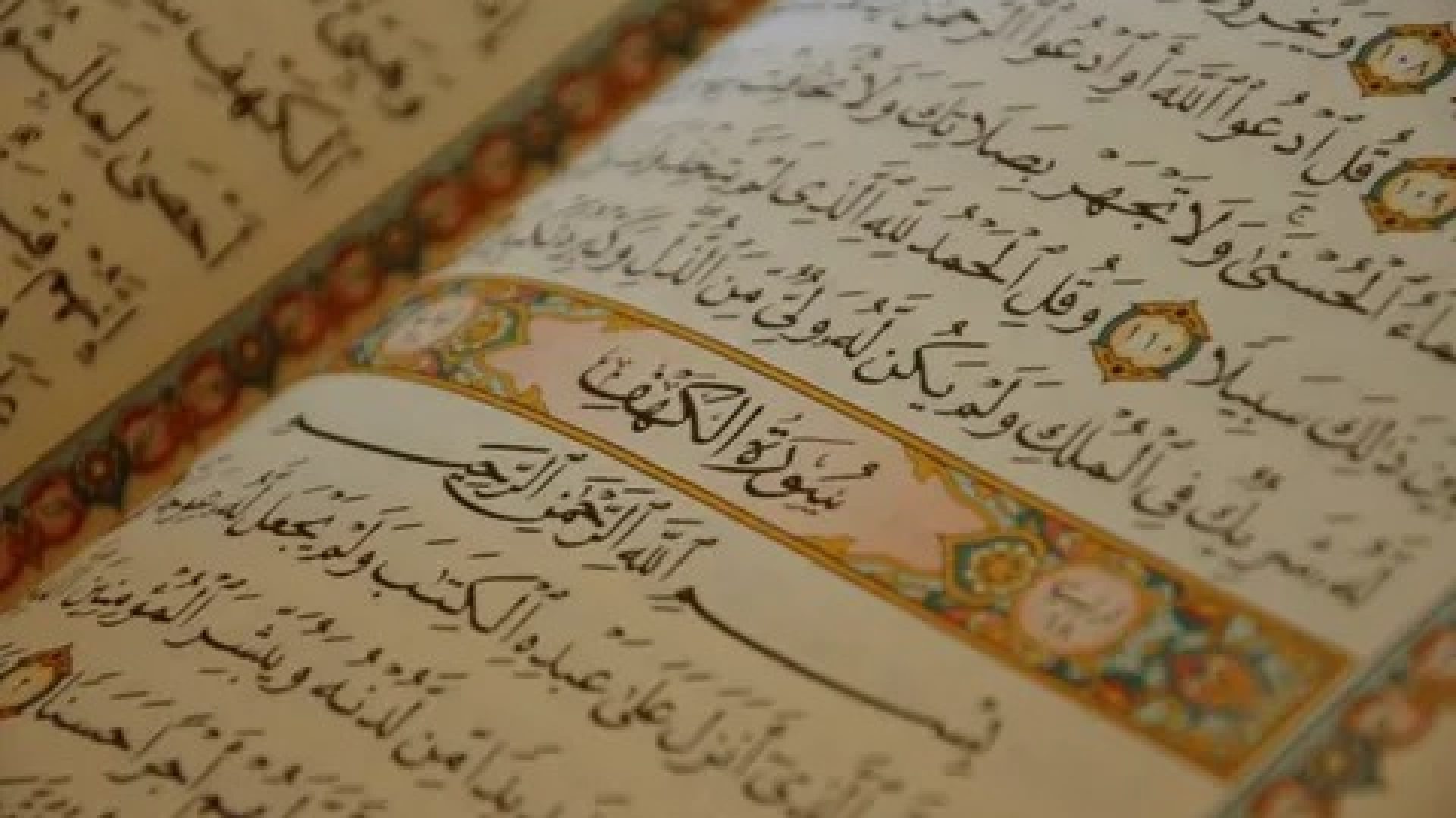 1de0935a-c555-4b1d-b066-6ca30690a03f