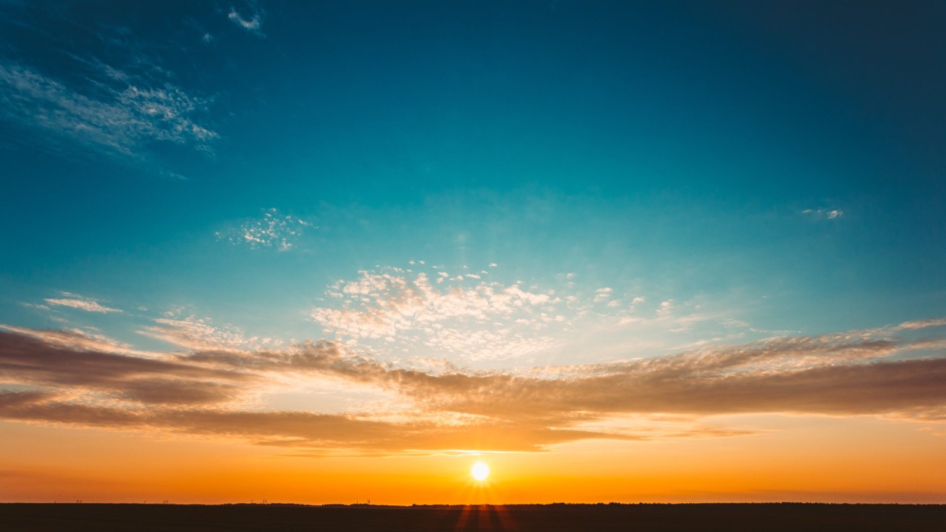 WhatsApp Image 2023-12-31 at 12.05.27