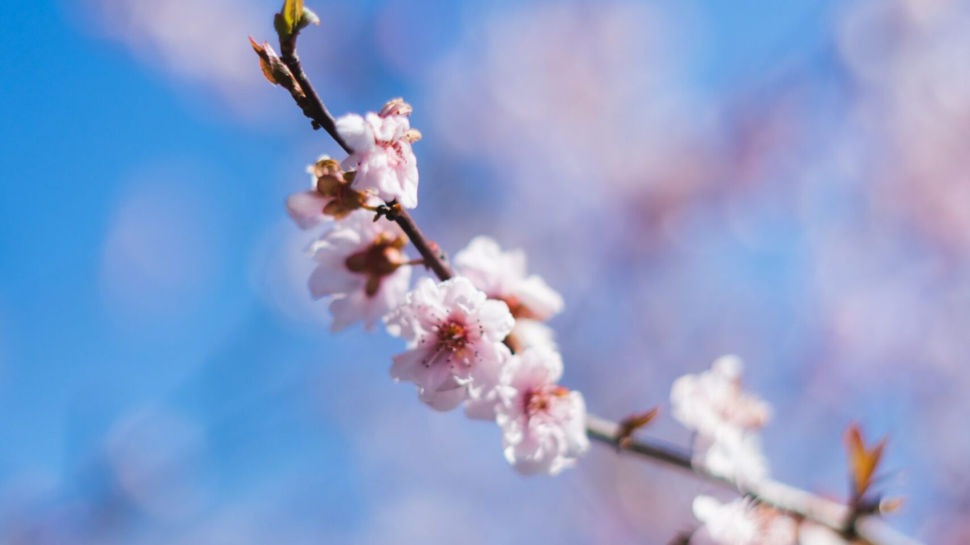 artiom-vallat-coUPHrwvKdE-unsplash