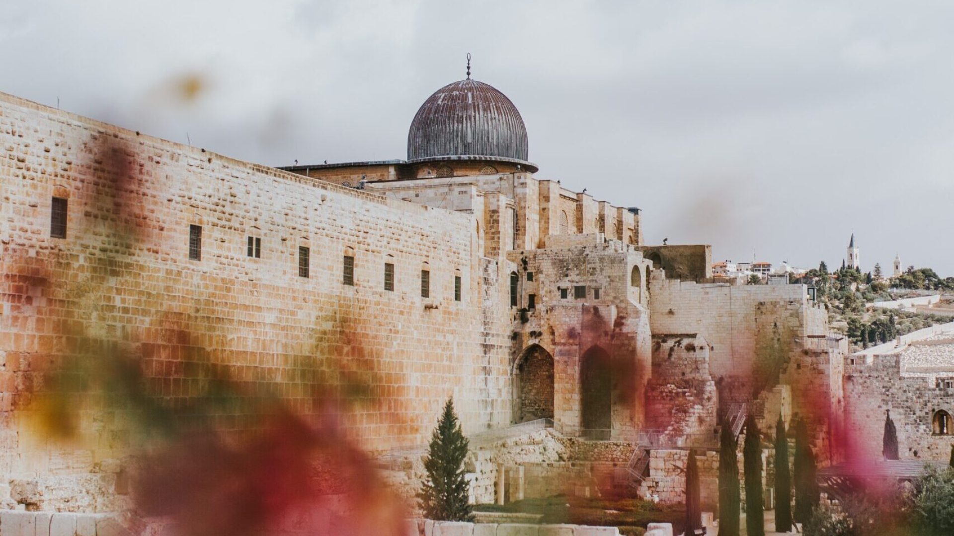 cole-keister-PQnkV6-iZMw-unsplash