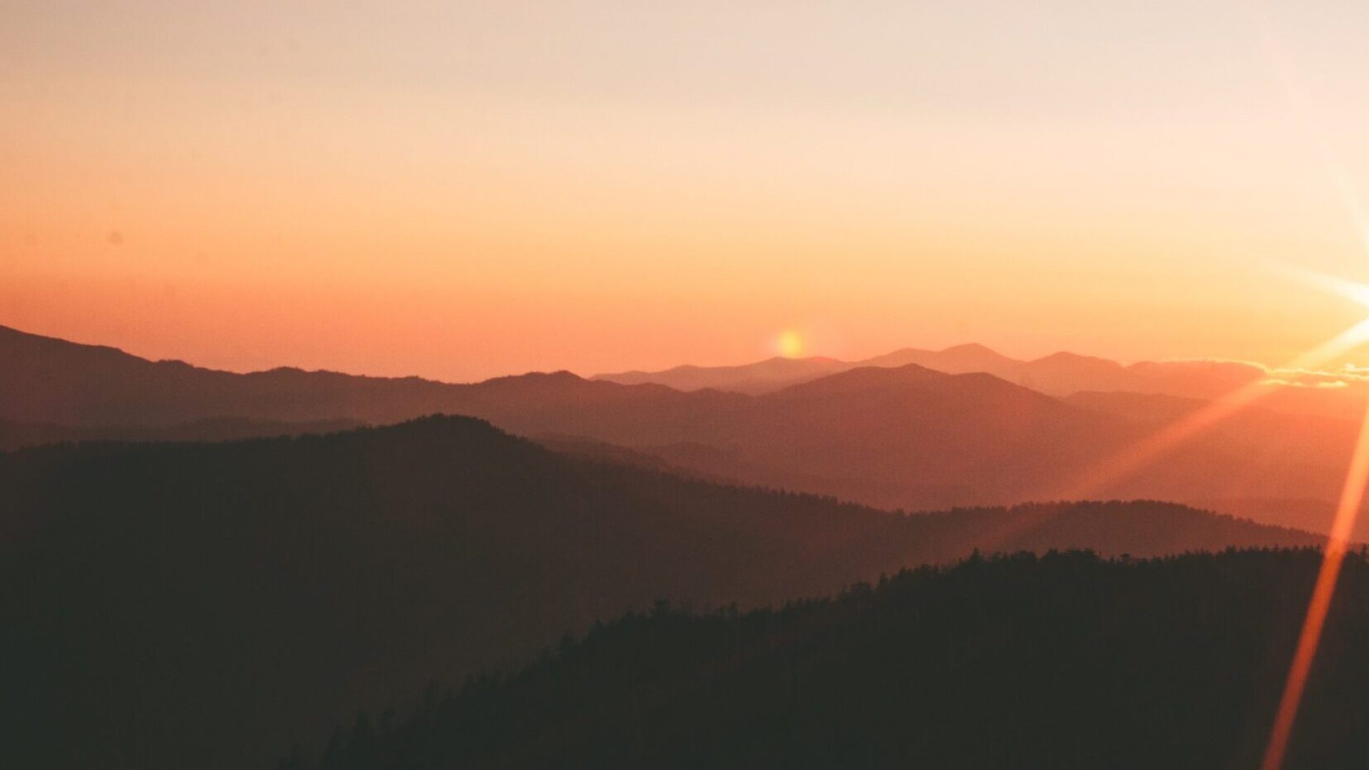 ivana-cajina-dQejX2ucPBs-unsplash