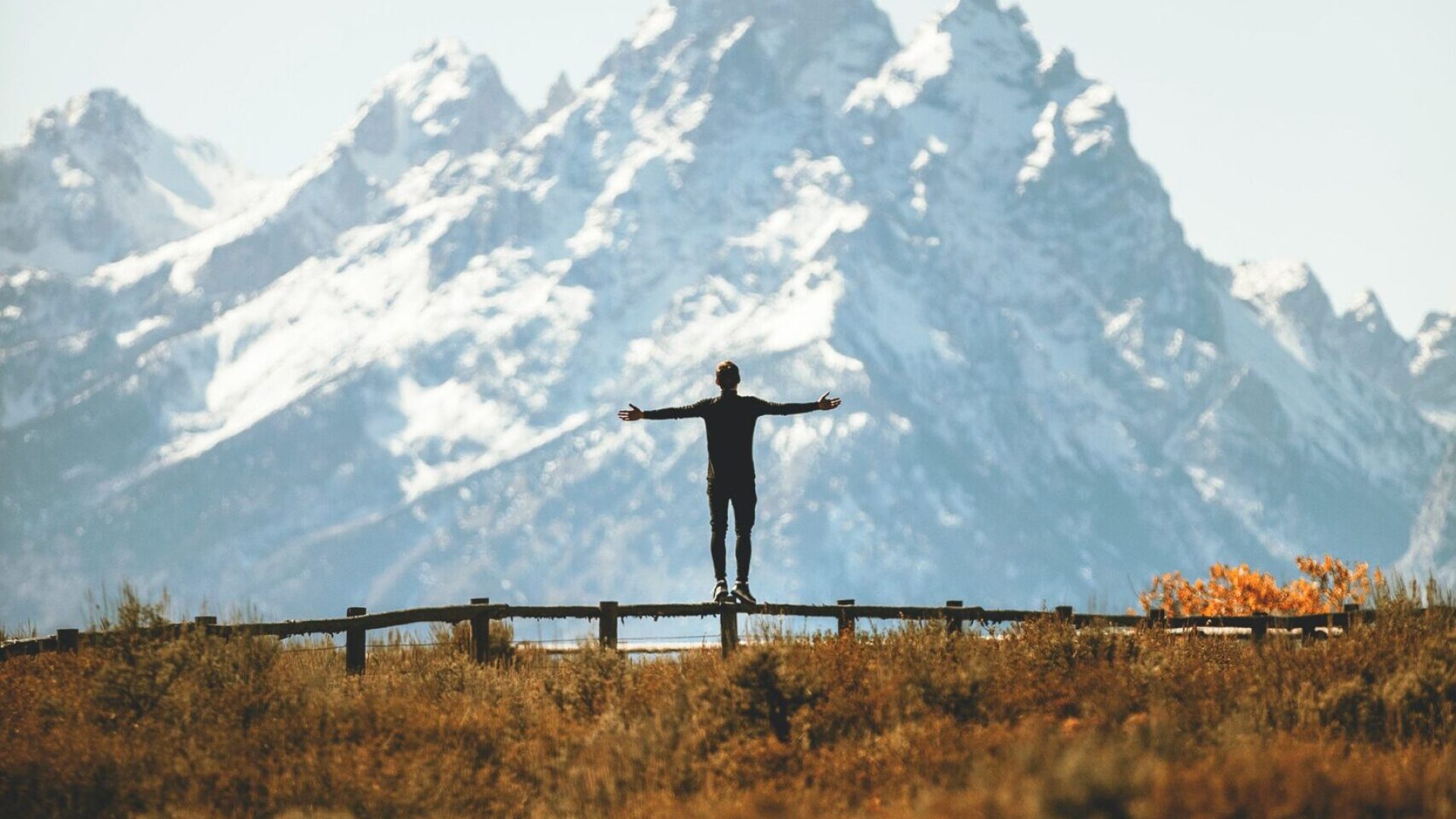 joshua-earle-oz1GKlRWab4-unsplash