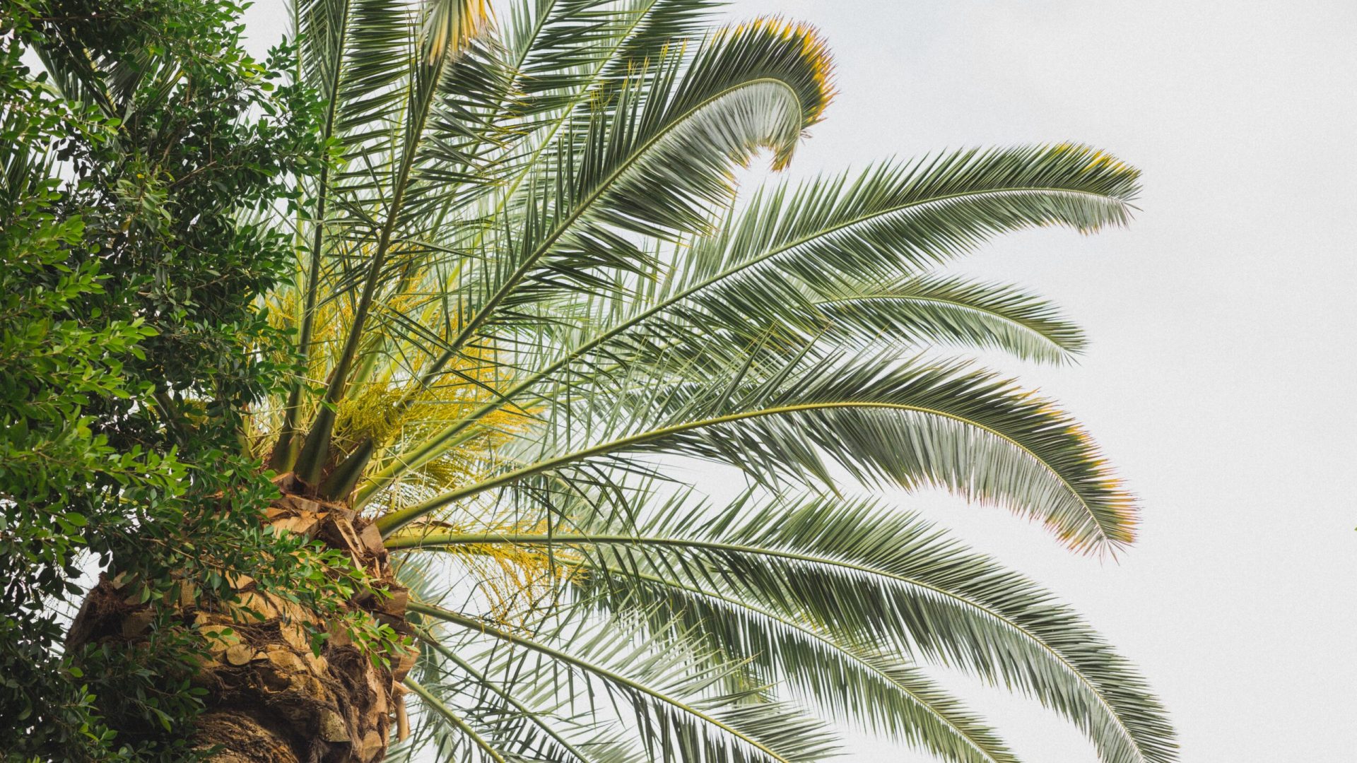 nathan-dumlao-DAPrtZ4GhQ0-unsplash