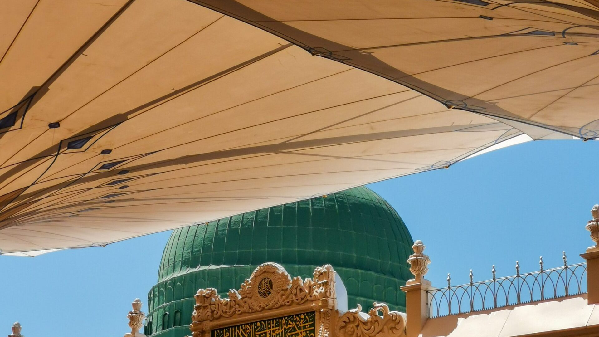 pexels-saad-alkot-17780233