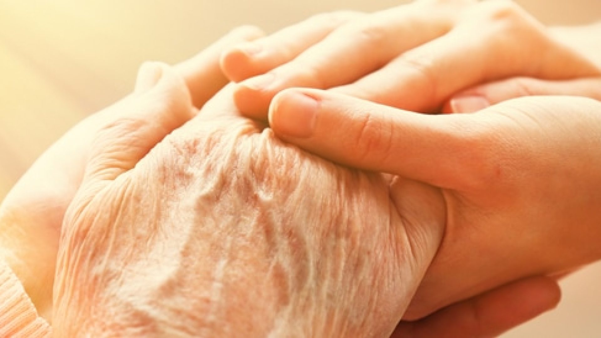 tbl_articles_article_14255_9348db93fa9-1537-4306-8280-f6db214e2cc9